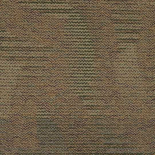 Shaw Carpet Tile Gilded 24" x 24" Builder(48 sq ft/ctn)