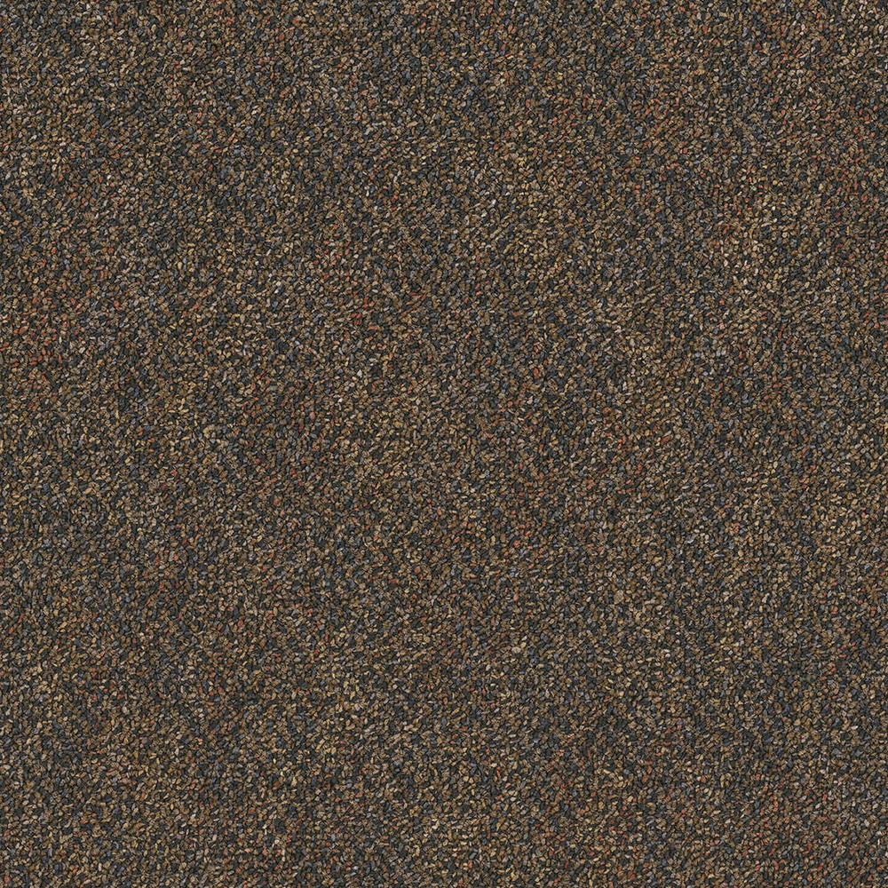 Pentz Premiere Carpet Tile Sneak Peak