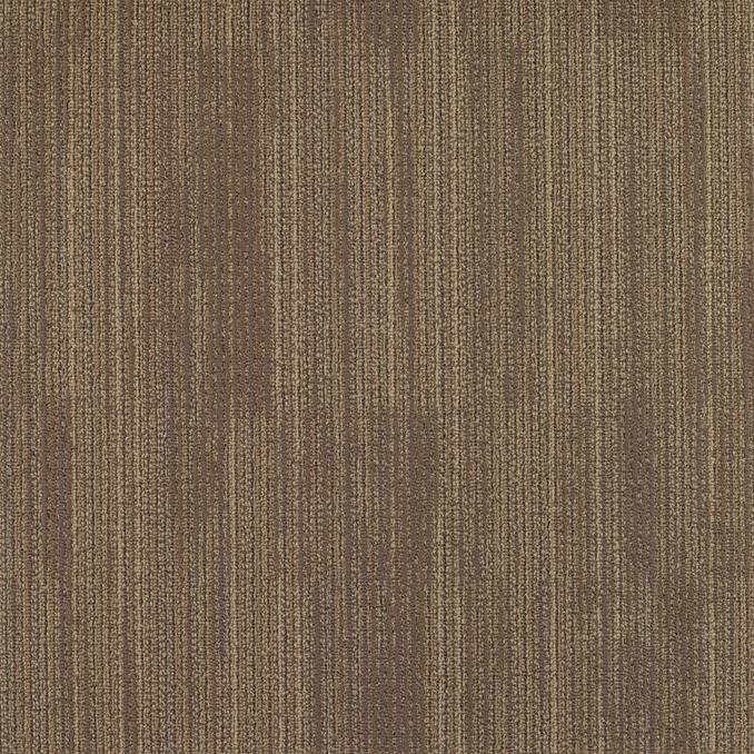 Carpet Tile Shaw Intrinsic Daily Bread