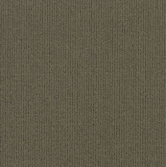Shaw Linea Carpet Tile Green 24" x 24" Premium(48 sq ft/ctn)