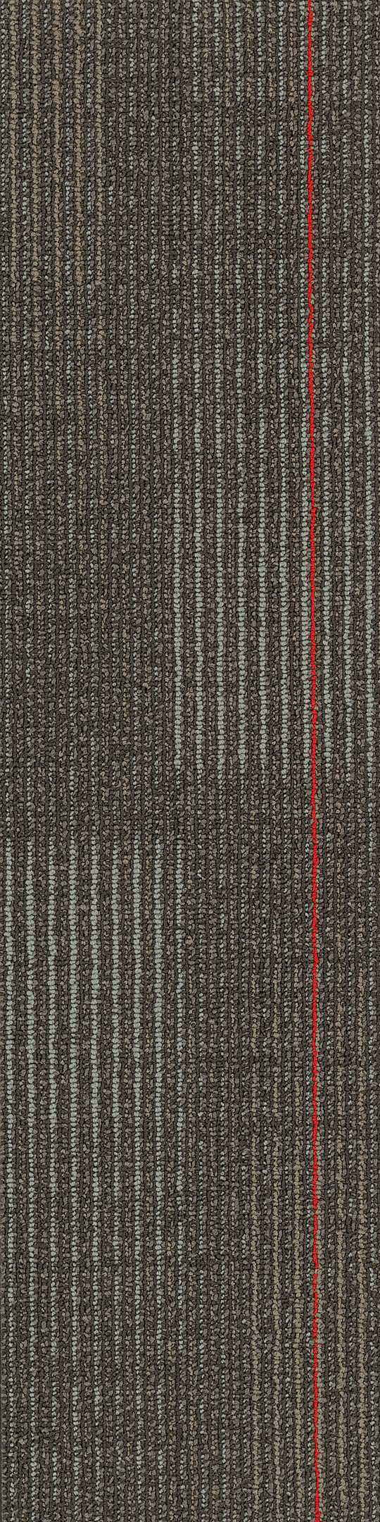 Shaw Diffuse Carpet Tile Routes