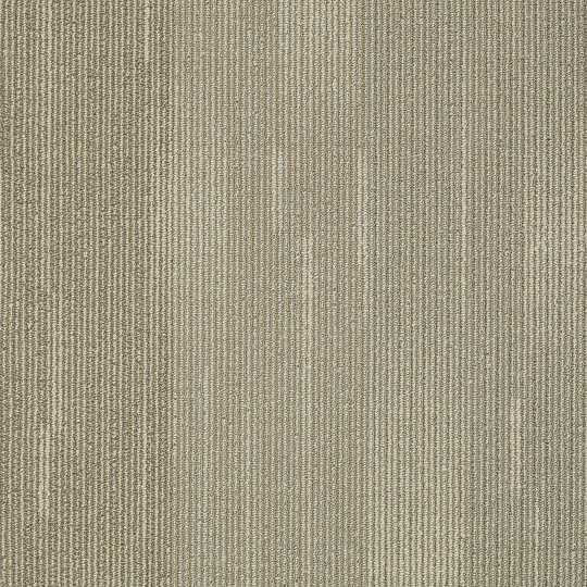 Shaw Direction Carpet Tile Sight 24" x 24" Builder(48 sq ft/ctn)