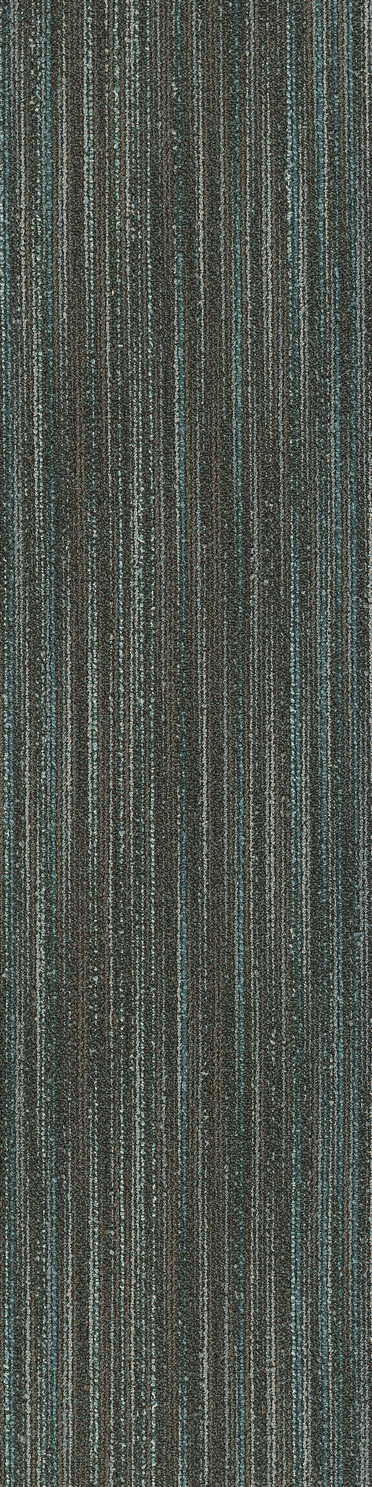Shaw Edinburgh Carpet Tile Broadford 12" x 48" Builder(48 sq ft/ctn)