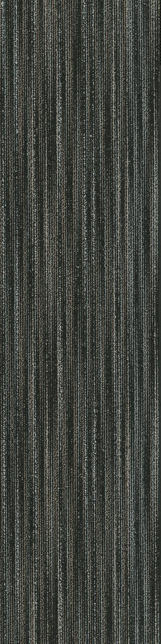 Shaw Edinburgh Carpet Tile Carbost 12" x 48" Builder(48 sq ft/ctn)