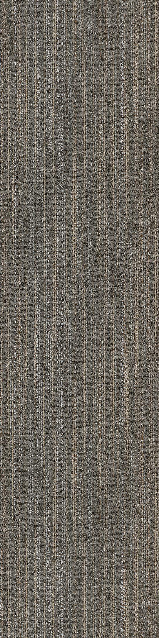 Shaw Edinburgh Carpet Tile Portree 12" x 48" Builder(48 sq ft/ctn)