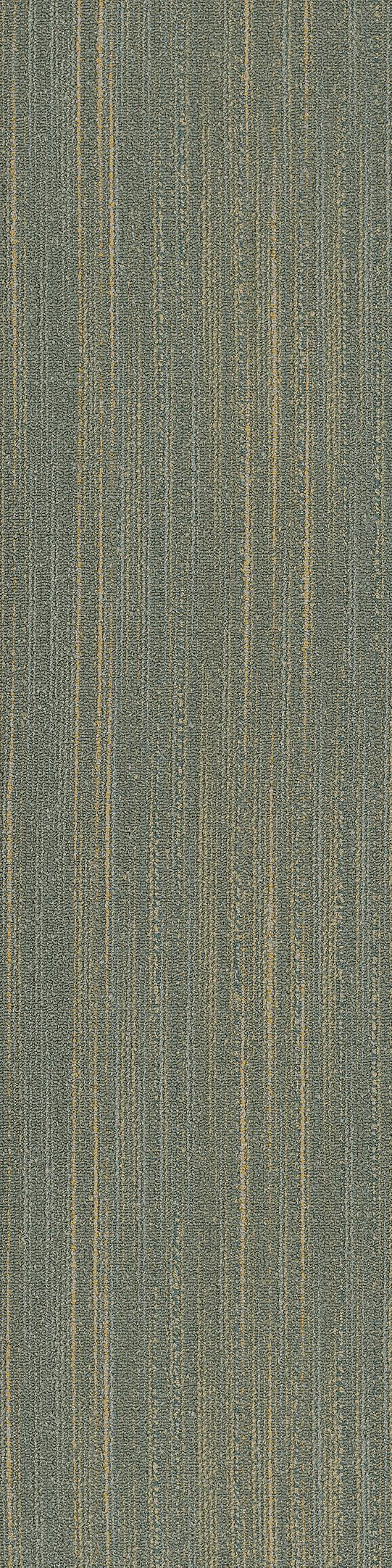 Shaw Edinburgh Carpet Tile Staffin 12" x 48" Builder(48 sq ft/ctn)