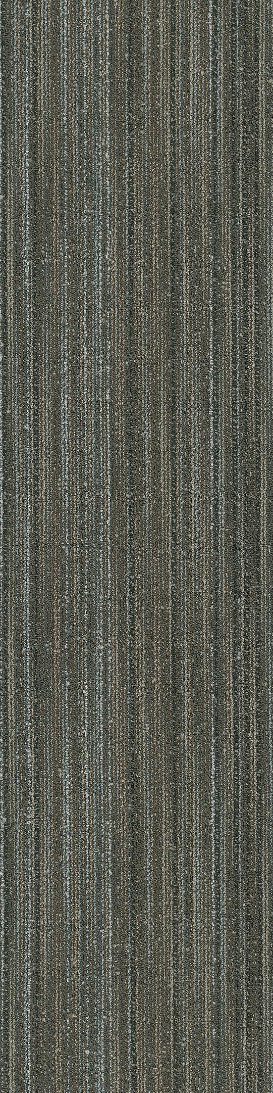 Shaw Edinburgh Carpet Tile Stornoway