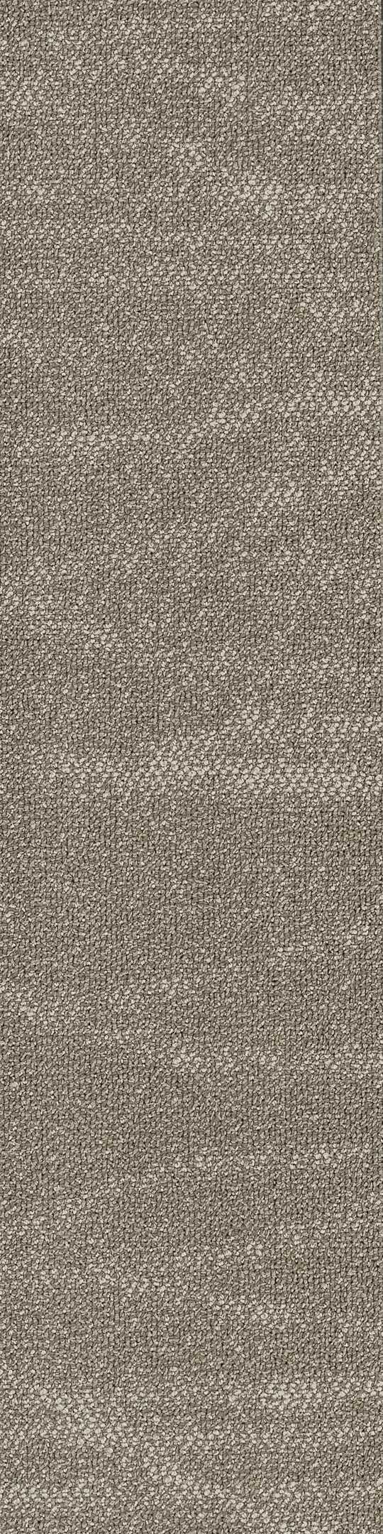 Shaw Fault Lines II Carpet Tile Branch