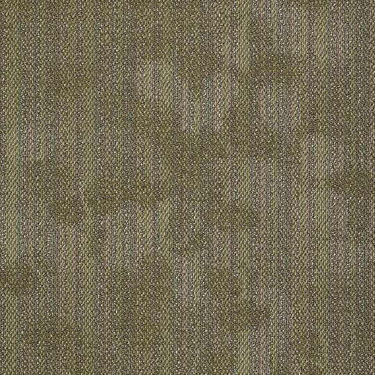 Shaw Imprint Carpet Tile Canopy 24" x 24" Premium(48 sq ft/ctn)