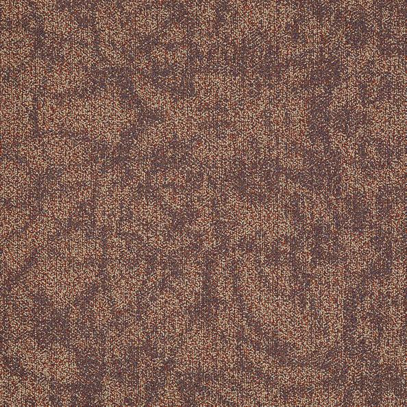 Shaw Mix Carpet Tile Celebrate 24" x 24" Premium(48 sq ft/ctn)