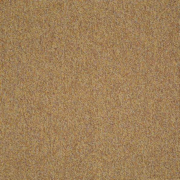 Shaw Multiplicity Carpet Tile Expansive 24" x 24" Premium(48 sq ft/ctn)