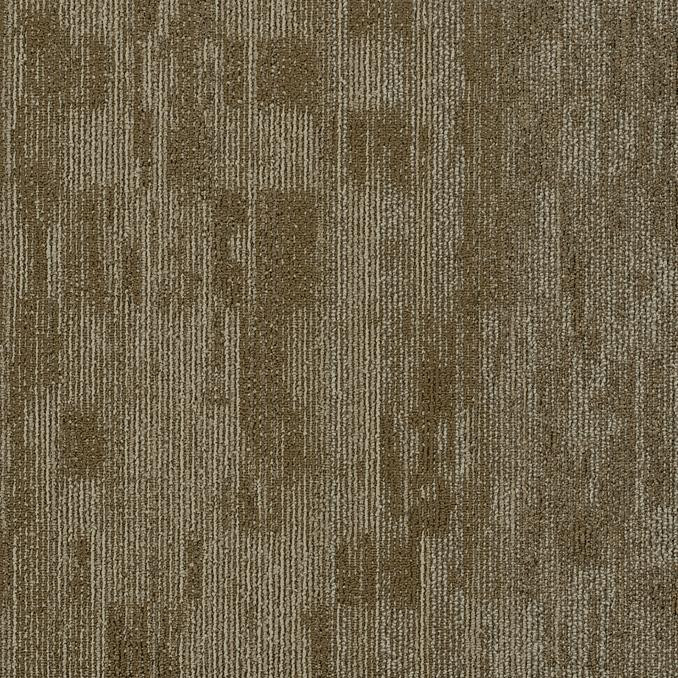 Shaw Natural Form Carpet Tile Tree Line