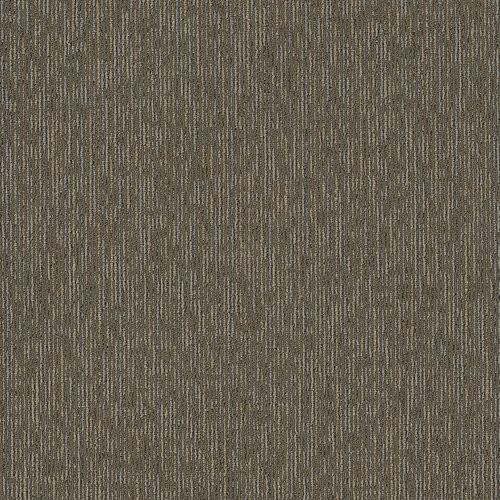 Shaw Contract Unending Carpet Tile Sierra 24" x 24" Premium(80 sq ft/ctn)