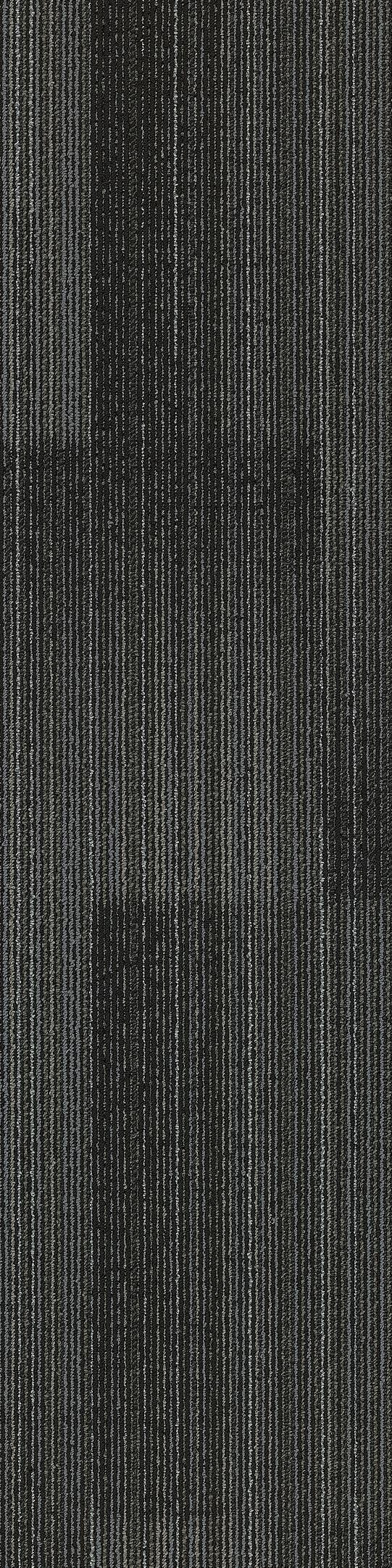 Shaw Run Carpet Tile Point 12" x 48" Builder(48 sq ft/ctn)