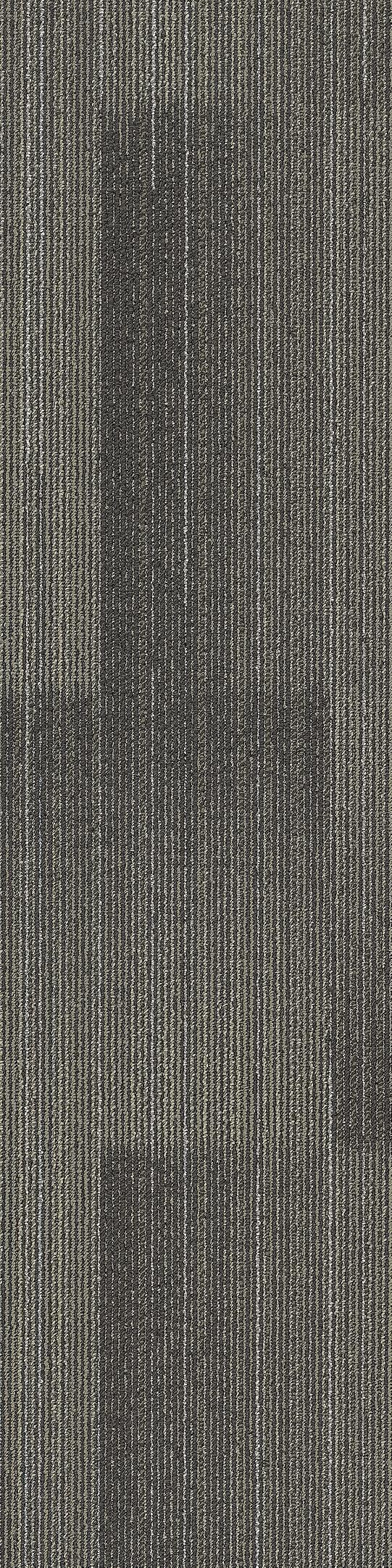 Shaw Run Carpet Tile Vertex
