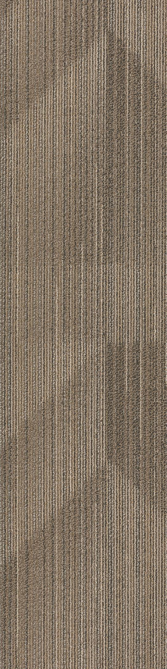 Shaw Slope Carpet Tile Axial