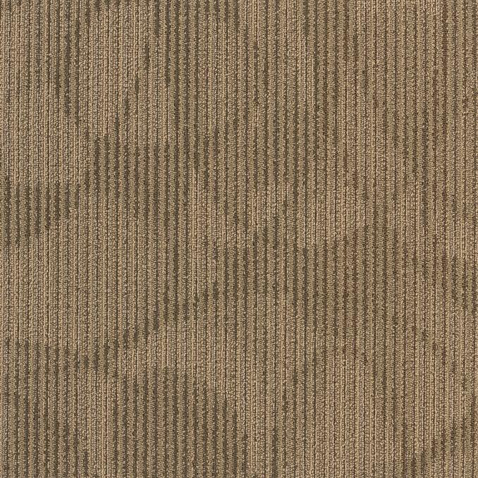 Shaw Speak In Design Modular Carpet Tile Burled Wood 24" x 24" Premium