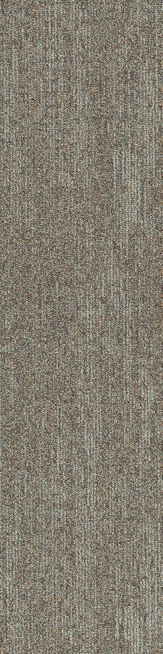 Shaw Tranquil Carpet Tile Retreat