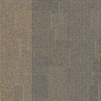 Aladdin Commercial Design Medley II Carpet Tile Intermix 24" x 24" Premium