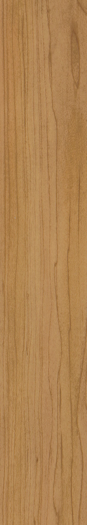 Shaw Uncommon Ground 6" LVT White Oak Glue down Premium (35.65 sq ft/ ctn)