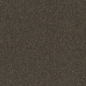 Pentz Diversified Carpet Tile Bizarre 24" x 24" Premium (72 sq ft/ctn)