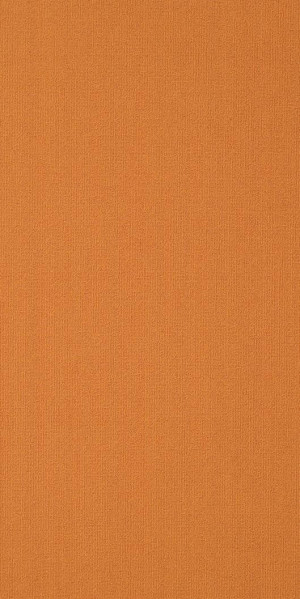 Shaw Colour Plank Tile Orange