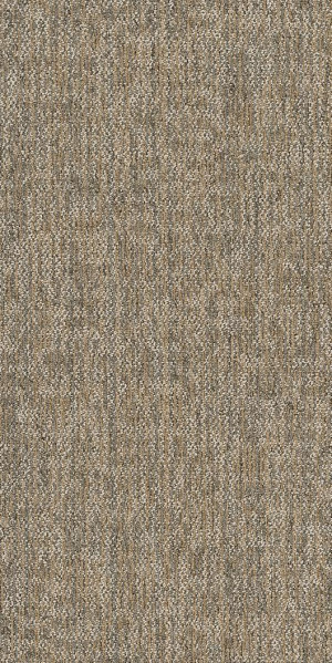 Shaw Crazy Smart Carpet Tile Astute