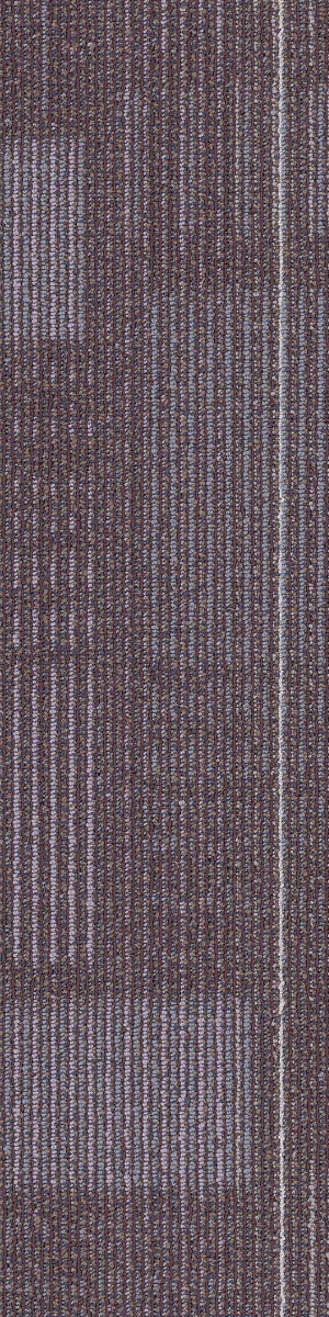 Shaw Diffuse Carpet Tile Seasonal
