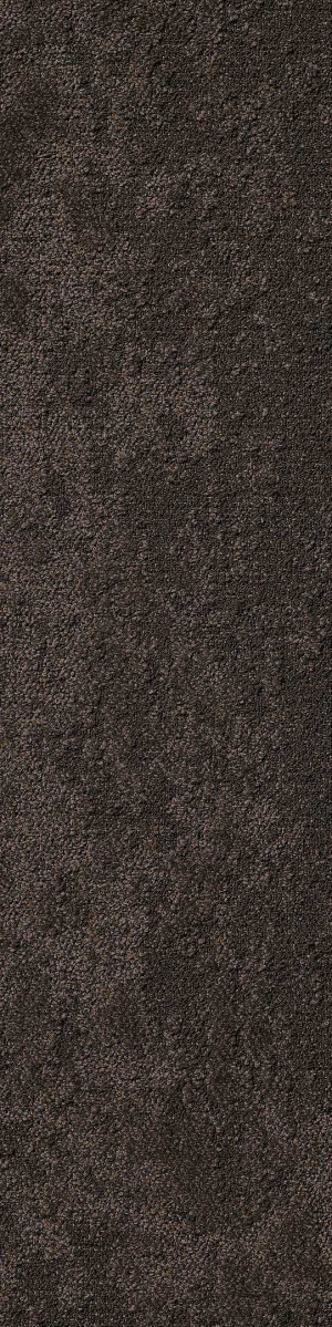 Shaw Seek Carpet Tile Earth