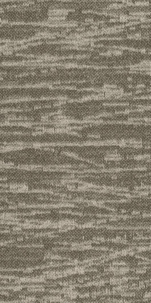 Shaw Tidewater Carpet Tile Pingo