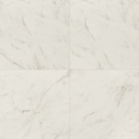 MSI Kaya Carrara Bianco 24" x 24" Matte Porcelain Tile Premium (16.00 sqft/each)