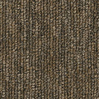 Pentz Fast Break Modular Carpet Tile Coast To Coast 24" x 24" Premium (72 sq ft/ctn)