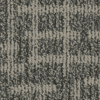 Pentz Integrity Modular Carpet Tile Doctrine 24" x 24" Premium (72 sq ft/ctn)
