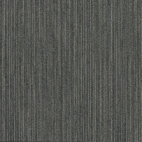 Shaw Reason Carpet Tile Intellect 24" x 24" Builder(80 sq ft/ctn)