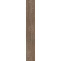 Shaw Abide Coriander Oak 7" x 48" Glue Down LVT Premium (41.94 sq ft/ ctn)