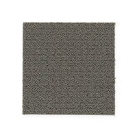 Aladdin Commercial Color Pop Carpet Tile Graphite 24" x 24" Premium (72 sq ft/ctn)