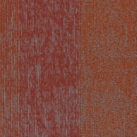 Shaw Contract Interstellar Carpet Tile Golden Gate 24" x 24" Premium(80 sq ft/ctn)