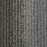 Shaw Static Carpet Tile Velocity 24" x 24" Builder(48 sq ft/ctn)