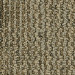 Pentz Revolution Carpet Tile Shake-up