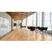 US Floors COREtec Pro Plus XL Enhanced 9" x 73" Berlin Pine Click-Lock LVT Premium (36.64 sq ft/ ctn) 