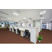 Pentz Techtonic Carpet Tile Registry - Office Space Scene