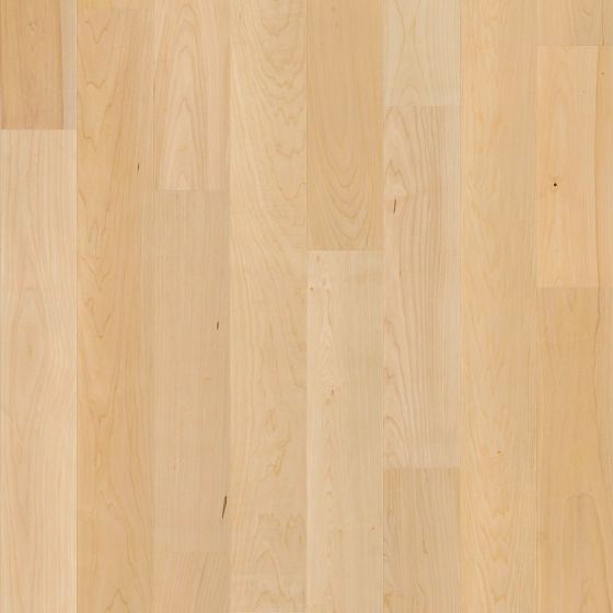 Standard Maple Shaw Natural Classics Hard Maple 5
